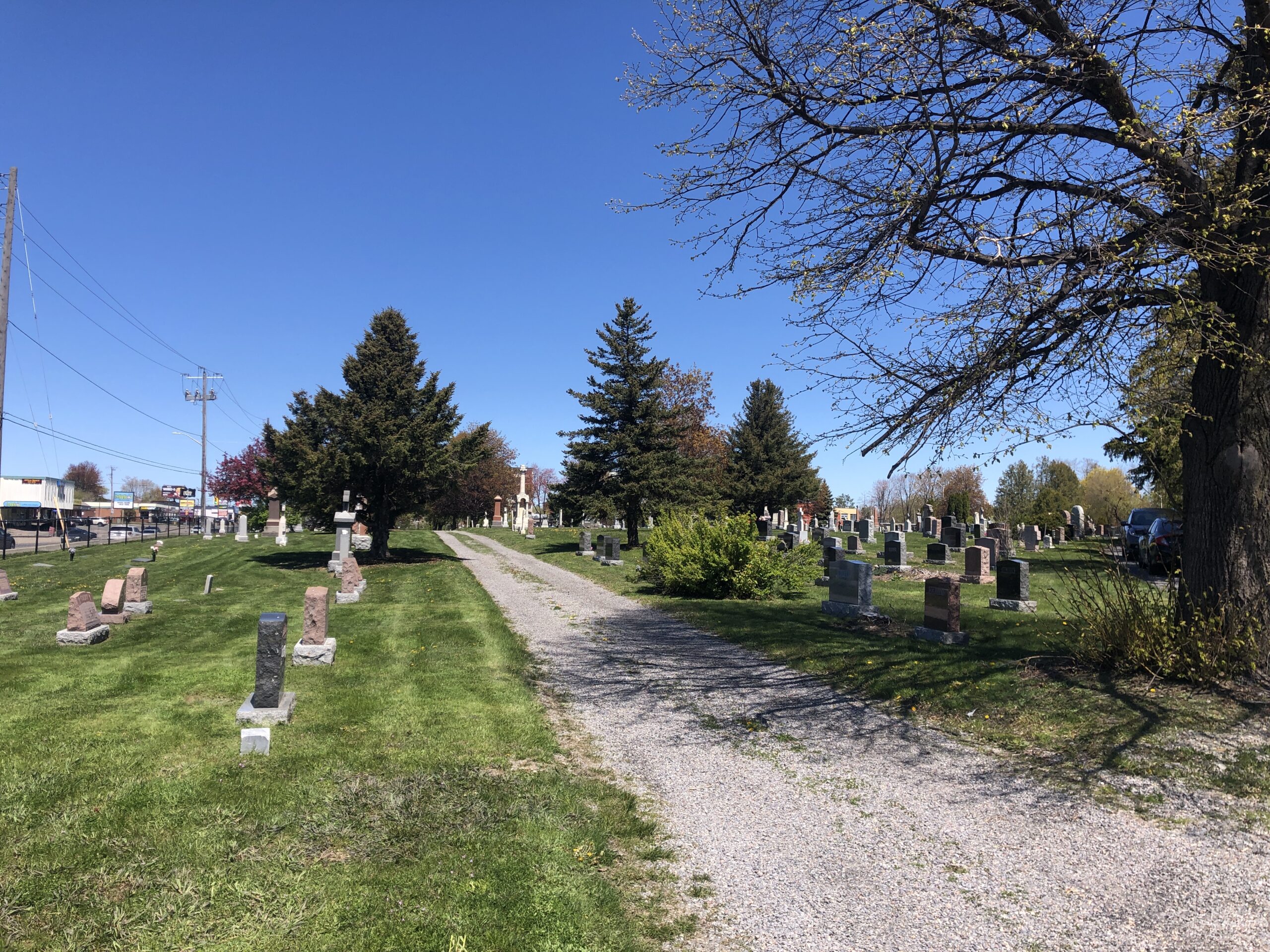 cemetery with upright headstones and a road going through the middle of the image. There are a number of trees in the cemetery