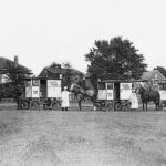 Black and white photo of three horse drawn milk wagons, with a man standing beside each of the three horses